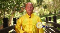 全世界华人武术大赛好手：八极拳师-苏锡龙