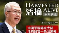 纪录片《活摘 十年调查》