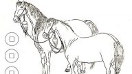 《易經》新譯《馬前課》預言中共興衰