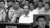 港媒：令計劃接班人終落馬 明日之星變流星