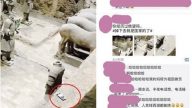遊客手機掉落兵馬俑坑  導遊：已屬文物