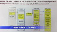 旧金山卫生局：大麻立法需保护青少年