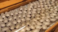 中国古代没有银行 贪官是怎么藏钱的（视频）