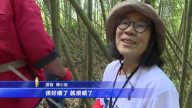 走访里佳蓝色部落 体验竹编传统建筑工艺