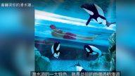 非常可怕的滑水道 感覺超危險（視頻）