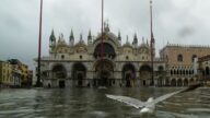 威尼斯遭半世紀最大水災 全城泡水 聖馬可受損嚴重