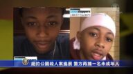 纽约公园杀人案进展 警方再捕一名未成年人