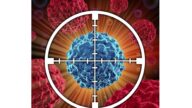 英研究者找到癌細胞通用免疫殺手