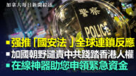 020.5.28【加拿大每日新聞綜述】強推「港版國安法」全球連鎖反應