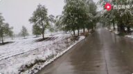 天现异象 青海多地夏日降大雪（视频）