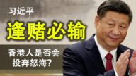 【天亮时分】习*近*平逢赌必输 香港人是否会投奔怒海