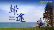 《归途》再获两国际电影节奖项