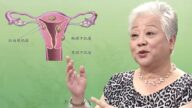 子宮肌瘤患者吃錯長更大 中醫師薦2碗藥膳