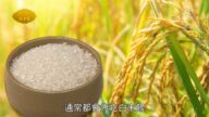 談古論今話中醫：白米粥的祕密