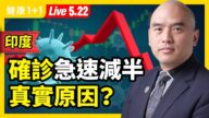 【重播】印度确诊急速减半 原因为何？