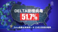 【疫情動態】Delta病毒佔美病例一半 已成主要感染毒株
