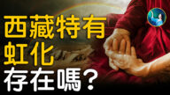 【未解之謎】西藏的神祕現象（2）高僧圓寂人體虹化