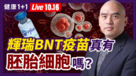 【健康1+1】輝瑞BNT疫苗中 真有「胚胎細胞」嗎？