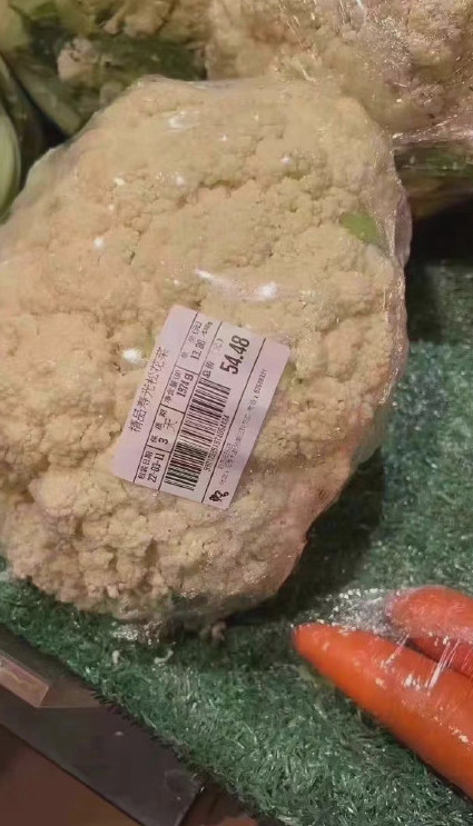 長春疫情,菜價,封城
