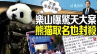 【遠見快評】樂山曝驚天大案 鬧市出駭人黑幕