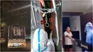 中国新闻快报：中共辱民防疫 广州运猪车拉人隔离 河南锁链下做核酸