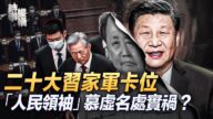 【时事纵横】二十大习家军这几人卡位？
