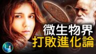 【未解之謎】挑戰進化論的微生物界