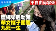 【菁英论坛】走线美国故事（2）惊险与感恩