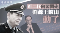 【菁英论坛】红二代向习开炮 刘源王岐山挑头
