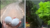 比雞蛋還大 雲南文山突降冰雹（視頻）