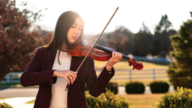 神韻藝術家：《紐時》的文章歪曲事實