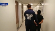 【美國聚焦】紐約ICE華裔官員被捕 美國國會大廈聖誕樹抵達