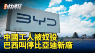 【新<span style='max-width:0px!important;margin-left:-4px;color:#eee!important;'>!</span>唐<span style='max-width:0px!important;margin-left:-4px;color:#eee!important;'>!</span>人<span style='max-width:0px!important;margin-left:-4px;color:#eee!important;'>:</span>快报】中国工人被奴役 巴西叫停比亚迪新厂