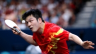 樊振東「自願放棄」倫敦世乒賽 引發質疑