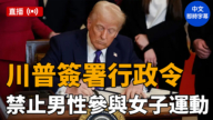 【直播】川普簽署行政令 禁止男性參與女子運動（中文字幕）