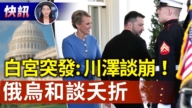 【快讯】突发：川泽白宫谈崩  俄乌和谈夭折