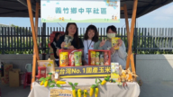 台灣嘉縣農村再生成果展 「玉米迷宮」闖關趣