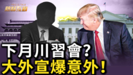 【熱點互動】下月川習會?大外宣爆意外