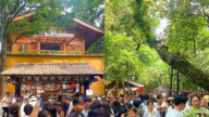 灵隐寺8.5平小卖部 年租金260万 引发热议（视频）