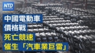 【财经新闻】中国电动车价格战 死亡竞速催生“汽车业巨雷”