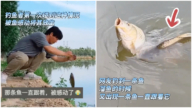 鄭州小伙釣到大魚 另一條魚生死相隨 感動網友（視頻）