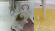杭州臭水检测机构拒检 5年前污水曾进自来水管