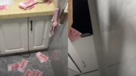 中国男私房钱藏天花板撒满地被发现 笑翻网友（视频）