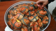 中國消費降級經濟通縮 大閘蟹旺季價格腰斬