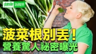 【健康新视界】“菜中之王”6大功效 3类人食用禁忌