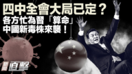 【新闻直击】四中全会大局已定？各方忙为习“算命” 中国新毒株来袭！