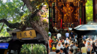 杭州灵隐寺免门票引热议：全国都应取消（视频）