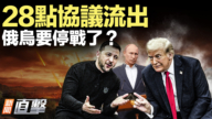 【新闻直击】28点协议流出 俄乌要停战了？