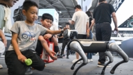 美众议院：中国人工智慧机器人构成新威胁