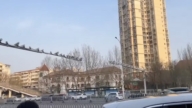 離譜！福建網友買助眠藥收到交警註銷駕照短信